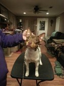Enlarge photo 12