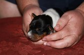 Enlarge photo 12