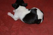 Enlarge photo 14