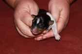 Enlarge photo 5