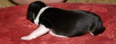 Enlarge photo 3