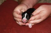 Enlarge photo 13