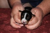 Enlarge photo 12