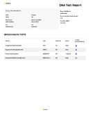 Enlarge PDF 4