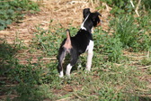 Enlarge photo 17