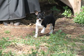 Enlarge photo 16