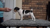 Enlarge photo 21