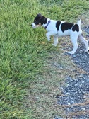 Enlarge photo 22