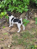 Enlarge photo 23