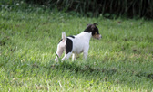 Enlarge photo 2