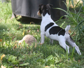 Enlarge photo 3