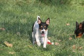 Enlarge photo 2