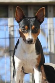 <b>Daisy</b>