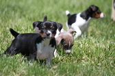 Enlarge photo 24