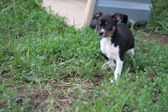 Enlarge photo 17