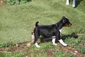 Enlarge photo 12