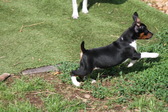 Enlarge photo 11