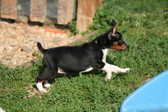 Enlarge photo 9