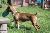 Enlarge photo 20