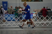 Enlarge photo 47