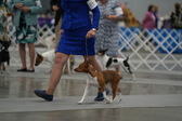 Enlarge photo 34