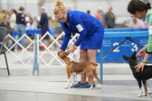 Enlarge photo 37