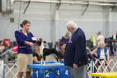 Enlarge photo 28