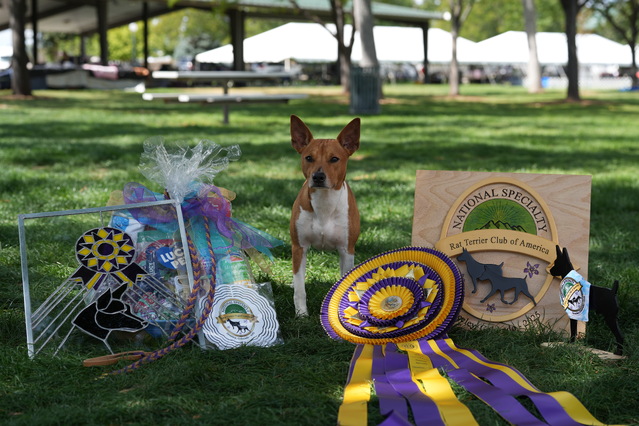 Return to Album