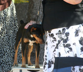 Enlarge photo 11