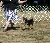 Enlarge photo 8