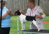 Enlarge photo 15