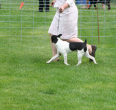 Enlarge photo 22