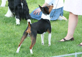 Enlarge photo 20