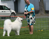 Enlarge photo 19
