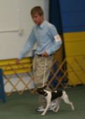 Enlarge photo 21