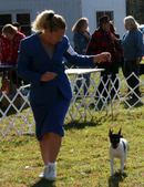 Enlarge photo 24