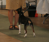 Enlarge photo 10