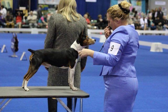 Return to Album