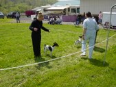 Enlarge photo 6