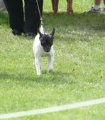 Enlarge photo 13