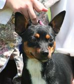 Enlarge photo 9