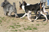 Enlarge photo 22