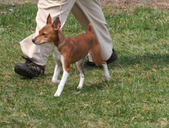 Enlarge photo 11