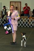 Enlarge photo 7