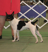 Enlarge photo 24