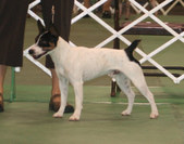 Enlarge photo 23