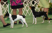 Enlarge photo 21