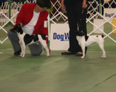 Enlarge photo 20