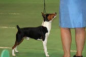Enlarge photo 12