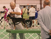 Enlarge photo 7